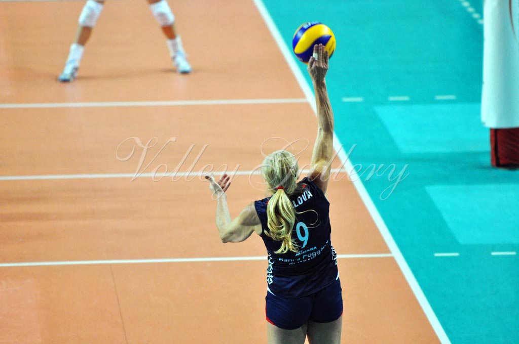 Asystel NO Muszynianka (06)